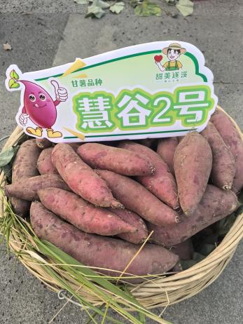 J9��Ϸ�����й����ٷ���վ