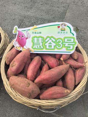 J9��Ϸ�����й����ٷ���վ