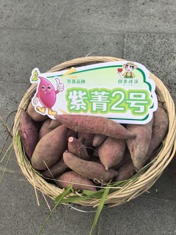 J9��Ϸ�����й����ٷ���վ