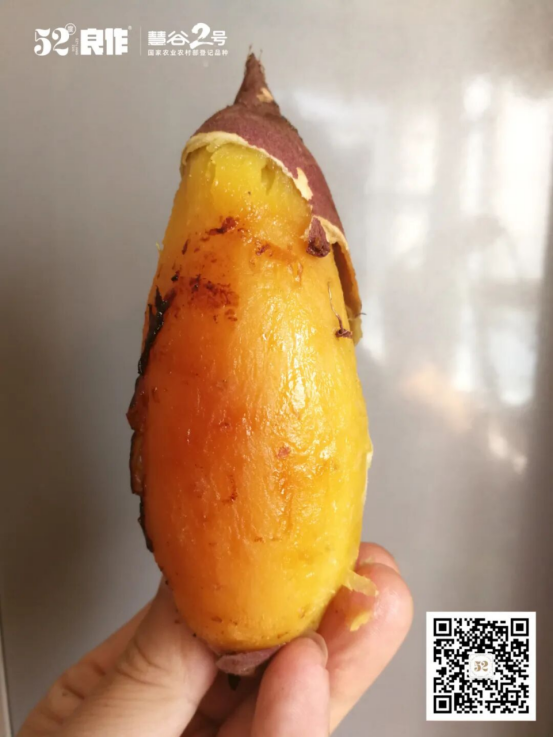 J9��Ϸ�����й����ٷ���վ